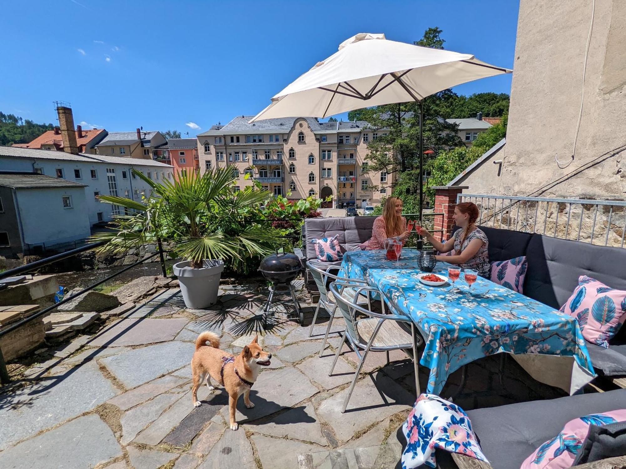Hw4B - Urlaubsmagie - Zentral Mit Gemeinschaftsgarten, -Pool, -Sauna & Whirlpool Sebnitz Eksteriør bilde